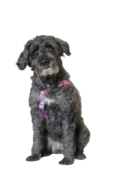 BinHS-image Bin | Petersen's Carpet & Flooring