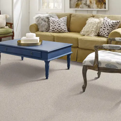 modern living room featuring carpet | Petersen's Carpet & Flooring